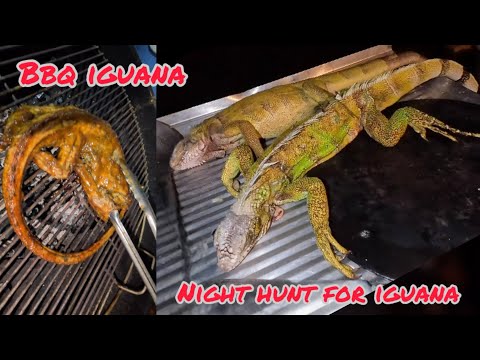 Видео: Охота на игуану в Тринидаде! Полуночный пикник🇹🇹🔥Барбекю из игуаны и жареной рыбы🔥#Карибы #охота