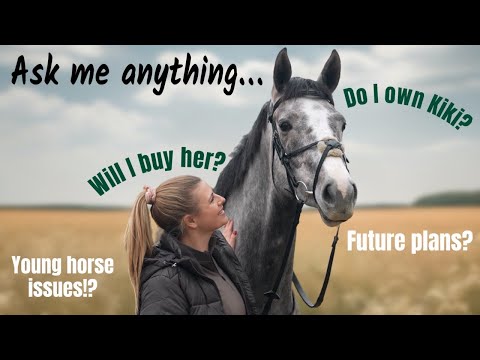 Видео: Отвечаю на все вопросы о моей новой лошади!
