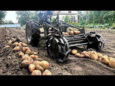 Видео: Транспортерная картофелекопалка к любому мотоблоку