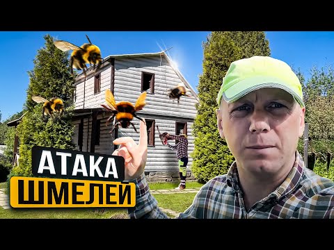 Видео: САМЫЙ КОЛКИЙ СНОС ДОМА!!! ВСЕ В СТЕКЛОВАТЕ И ВЕЗДЕ ШМЕЛИ @dismantling-LK
