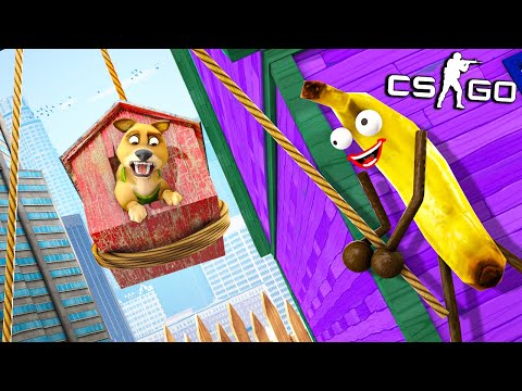 Видео: СОБАКА ПРОСТО В ШОКЕ! СУПЕР ТРОЛЛЬ БАНАН vs МЕГА ЗЛОЙ ПЁС! МАНЬЯК В CS:GO (ВЕСЕЛЫЕ ПРЯТКИ В КС ГО)