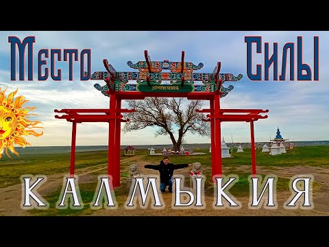 Видео: Калмыкия. Одинокий тополь.