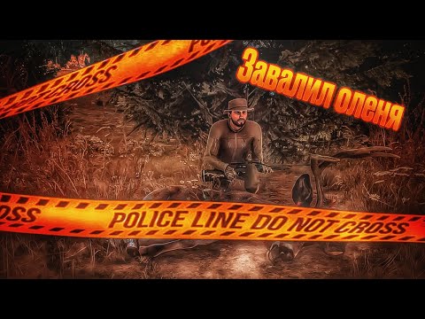 Видео: ЗАХОДИ СТРИМ ПО ИГРЕ #Way of the hunter
