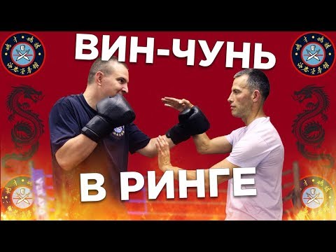 Видео: Применение Вин Чунь в ринге