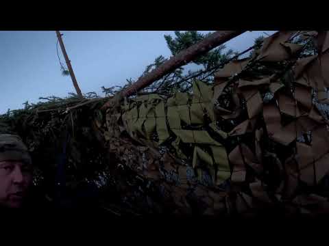 Видео: 31 октября 2025 г.