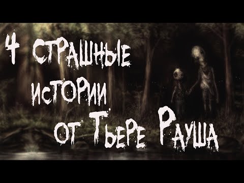 Видео: Страшные истории на ночь. 4 СТРАШНЫЕ ИСТОРИИ от Тьере Рауша. Мистика