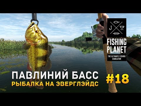 Видео: Fishing Planet #18 - Павлиний Басс. Рыбалка на Эверглэйдс