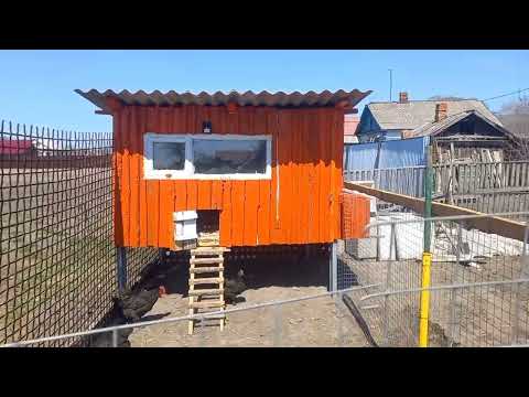 Видео: курятник из горбыля с выгулом.