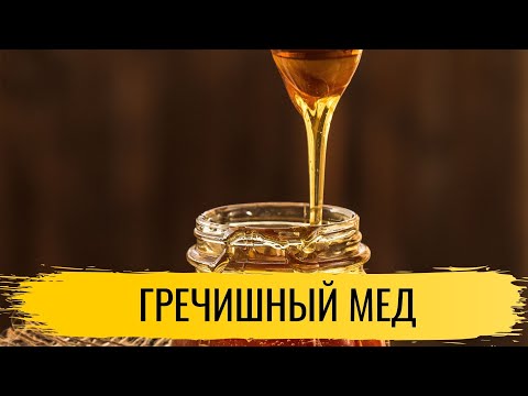 Видео: Мед. Гречишный мед