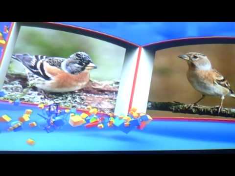 Видео: Телепередача Перемешка. Выпуск от 5.12.16