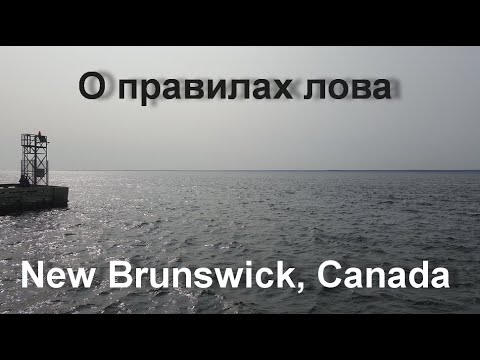 Видео: О рыбалке в Нью Брансиук, где и сколько можно ловить и где об этом узнать.
