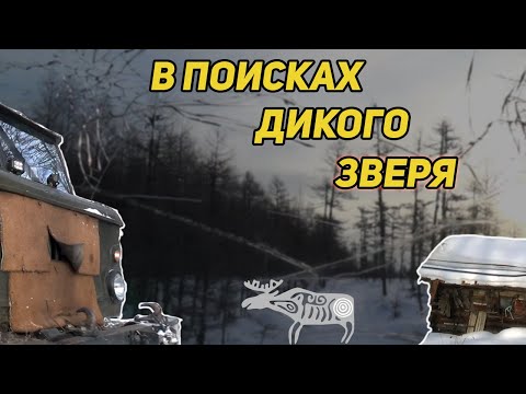 Видео: ПО СНЕГУ НА ДАЛЬНИЙ КОРДОН, В ПОИСКАХ ДИКОГО ЗВЕРЯ. ОБЖИВАЮСЬ КОМФОРТНО В ТАЕЖНОЙ ИЗБЕ