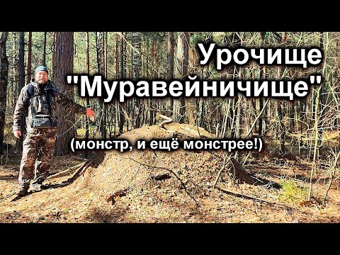 Видео: Мартовский ПВД в "Заячий лес". Сувель и кап. Про зайца и кино. Супермуравейник.