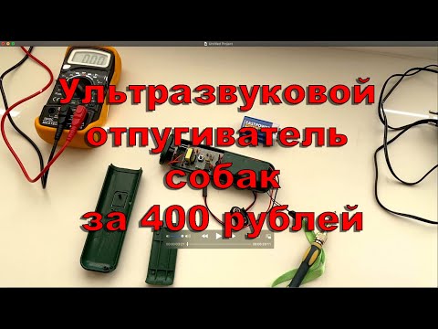 Видео: Отпугиватель собак за 400 рублей - ультразвуковой