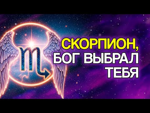 Видео: 8 Доказательств, Что СКОРПИОН — Самый Защищённый Знак Богом