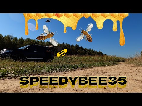 Видео: SPEEDYBEE 35 первый полет после сборки