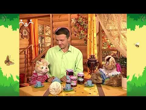 Видео: День в Шишкином Лесу. Зеленая аптека