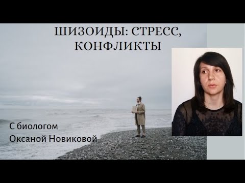 Видео: часть 2. Конфликты с шизоидом. Поведение в стрессе, решение конфликтов
