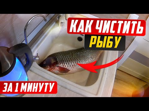 Видео: Как почистить рыбу за 1 минуту от чешуи.