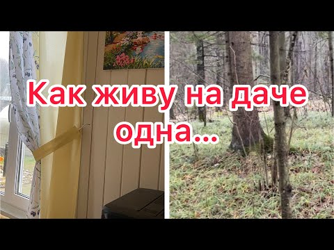 Видео: Тёплая осень и жизнь в окружении леса🌲🌲🌲