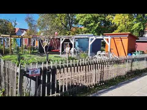 Видео: ДАЧИ в ГЕРМАНИИ/ЗОЛОТАЯ ОСЕНЬ/последние дни октября/Бавария/2025