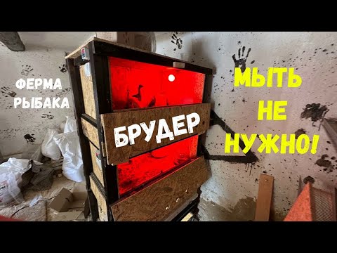 Видео: ЛУЧШИЙ БРУДЕР ДЛЯ ЦЫПЛЯТ В РАБОТЕ,  ПРОДОЛЖАЮ СТРОИТЬ ФЕРМУ! ПЕРВЫЙ САРАЙ ПОЧТИ ГОТОВ