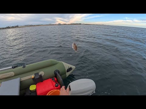 Видео: Рыбалка в Севастополе. С лодки