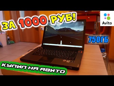 Видео: Ноутбук с АВИТО за 1000 рублей! [ПОКУПКИ АВИТО]