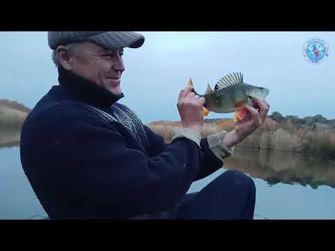 Видео: На рыбалку с Серёгой