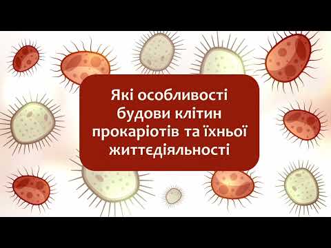 Видео: Біологія 7 клас (Балан). §7 Які особливості будови клітин прокаріотів та їхньої життєдіяльності