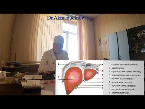 Видео: Брюшная полость. Часть 2. Профессор Ахмадудинов М.Г. (продолжение)