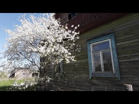 Видео: Заброшенная деревня в Латвии | Время весеннего цветения.