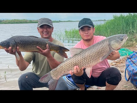 Видео: Рыбалка.Михайловские озера (Манул)2023 Август.Открытие сезона по ловле судака считается открытой=)