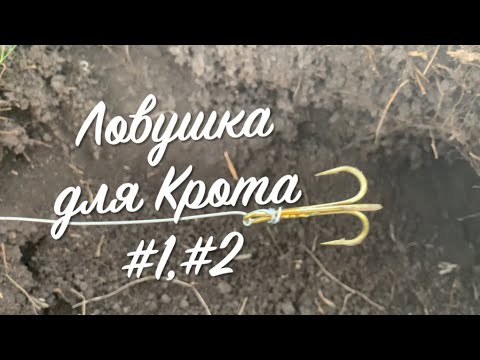 Видео: Ловушка для Крота #1 #2