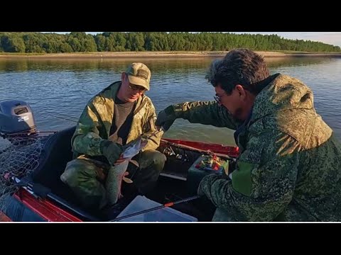 Видео: ПРОВОДИМ ВОСПИТАТЕЛЬНУЮ РАБОТУ, ВЫГУЛИВАЕМ ГОСТЯ ! Рыбалка на Оби ( Сузун ) 10 сентября 2023г.