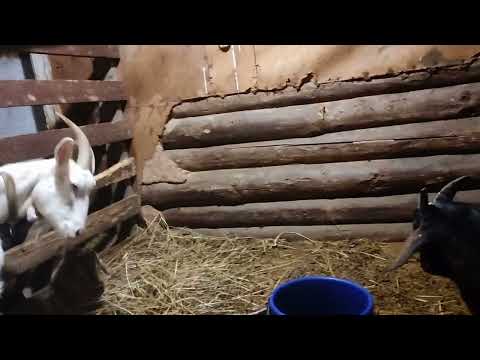 Видео: Никто никому не нужен