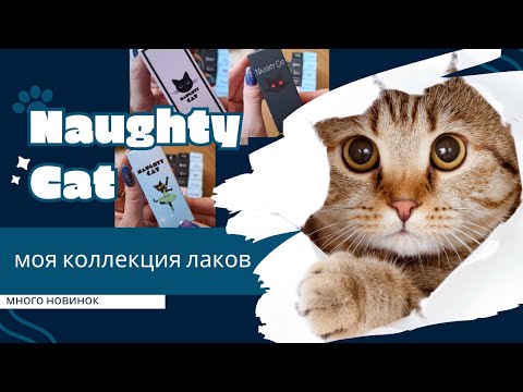 Видео: Naughty Cat моя коллекция лаков для ногтей
