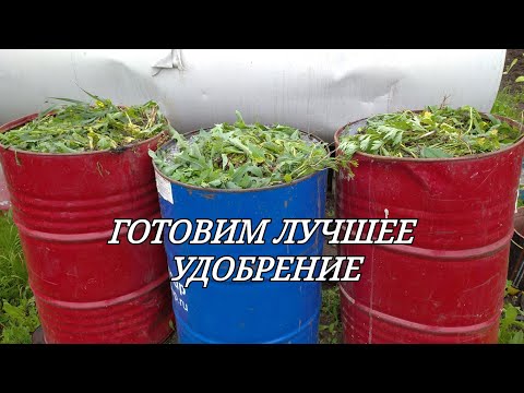 Видео: ГОТОВИМ ЛУЧШЕЕ УДОБРЕНИЕ