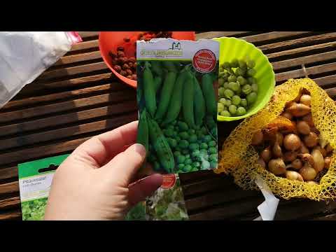 Видео: МОИ ГРЯДКИ в 2024г, что ПОСАДИЛА?