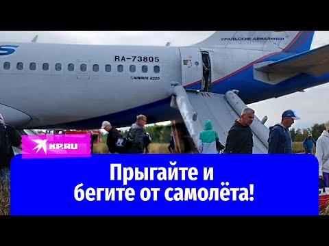 Видео: Экипаж рейса U6-1383, посадивший лайнер посреди поля: Прыгайте и бегите от самолёта!