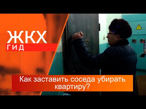 Видео: Как добиться, чтобы сосед-неряха навёл порядок у себя в квартире? | Гид ЖКХ – 20 февраля 2024