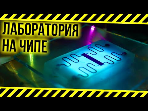 Видео: Микрофлюидика и лаборатория на чипе