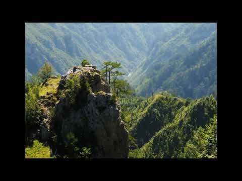 Видео: Песня погонщика мулов (Н. Матвеева)