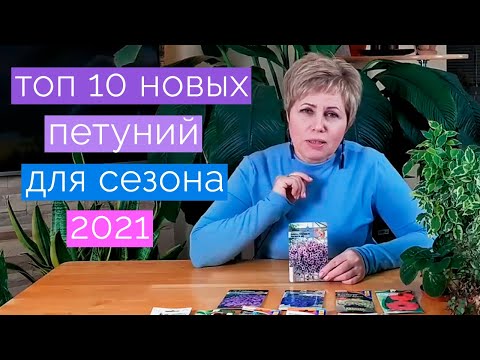 Видео: Топ 10 лучших петуний 2024 года! Самые обильно цветущие петунии. Петунии для ленивых!