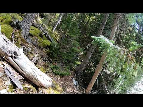 Видео: Прогулка по реке Курчум