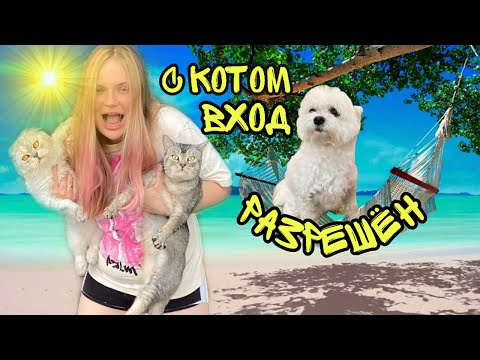 Видео: 24 ЧАСА НА ПЛЯЖЕ С КОТОМ КЕВИНОМ ВЫЖИВАЕМ В ЖАРУ | ЗОЯ ВСЁ ИСПОРТИЛА!