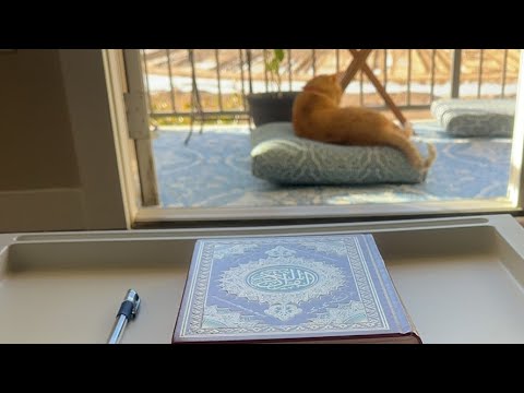 Видео: Daniella Дана Yussupbek is live!