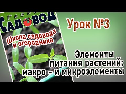 Видео: ЭЛЕМЕНТЫ ПИТАНИЯ РАСТЕНИЙ: МАКРО - и микроэлементы Урок№3