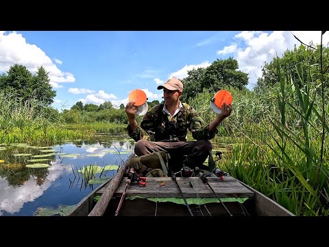 Видео: Вечірній вихід на Стохід з кружками і спінінгами