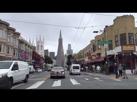 Видео: Не может успокоиться, почему? 